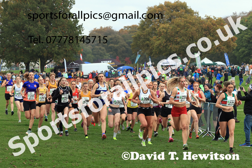 Senior Womens relay, 2025 Northern Cross Country Relays, Graves Park, Sheffield. Photo: David T. Hewitson/Sports for All Pics